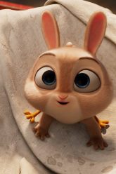 Chicken-Hare