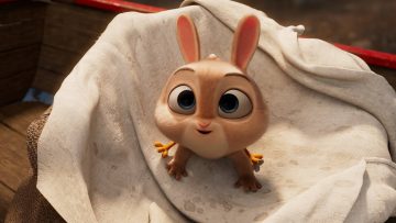 Chicken-Hare