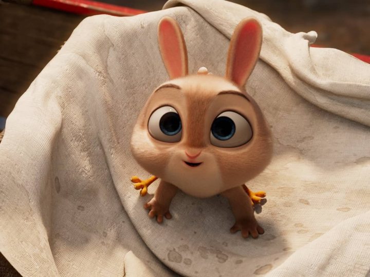 Chicken-Hare
